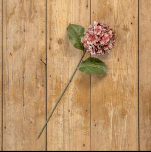 Autumn Mauve Hydrangea Stem