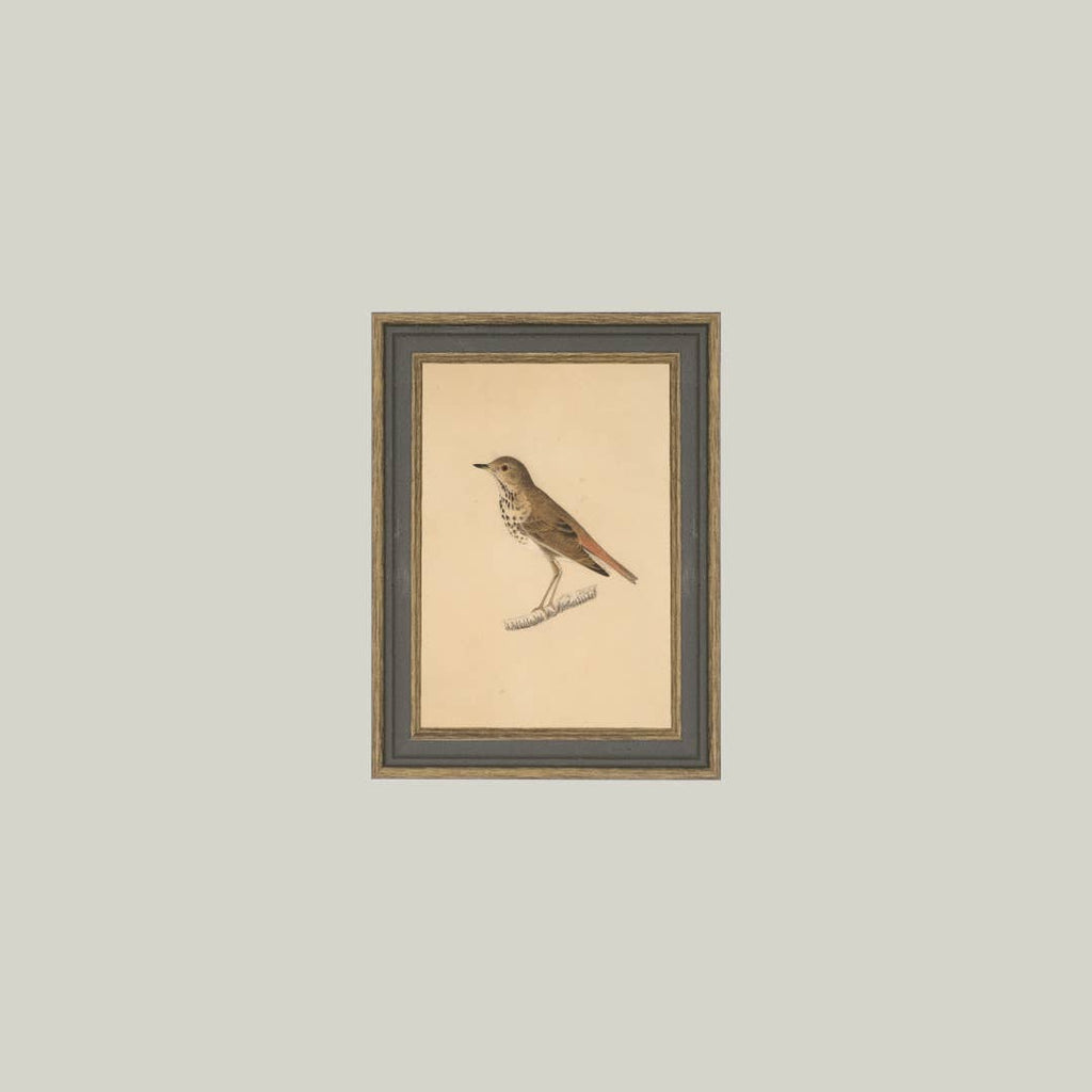 Bird Framed Antique Art pic 2