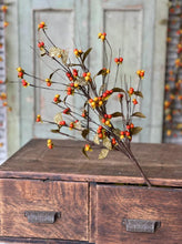 Bittersweet & Leaves Spray