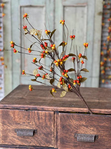 Bittersweet & Leaves Spray