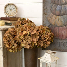 Hydrangea Stem | Brown & Green