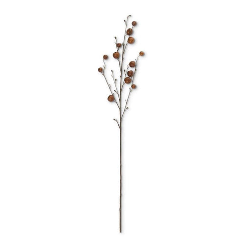 Brown Pod Stem