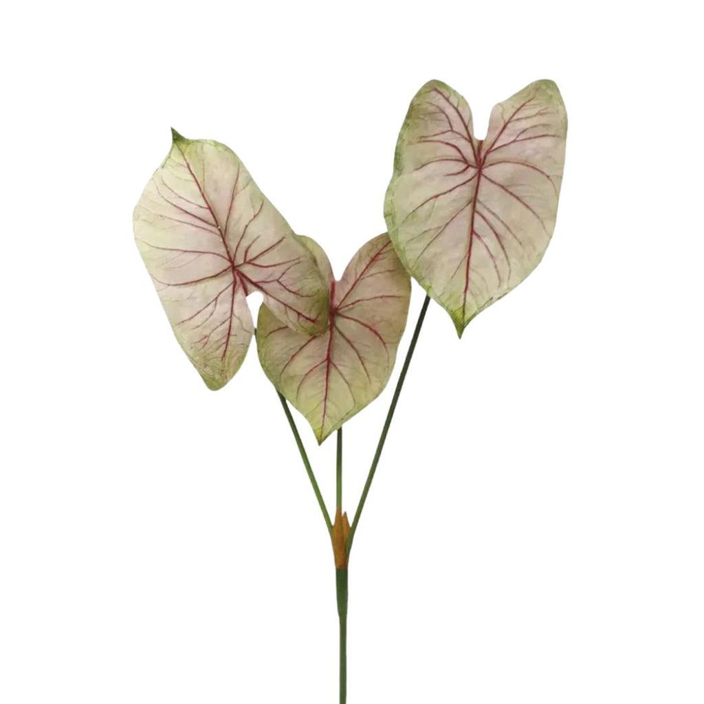 Caladium Light Blush Faux Plant