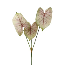 Caladium Light Blush Faux Plant