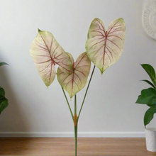 Caladium Light Blush Faux Plant
