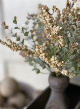 Crispin Berry Bush
