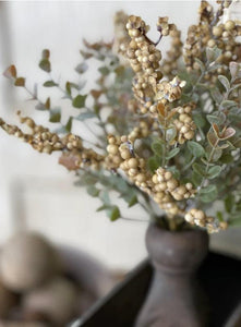 Crispin Berry Bush