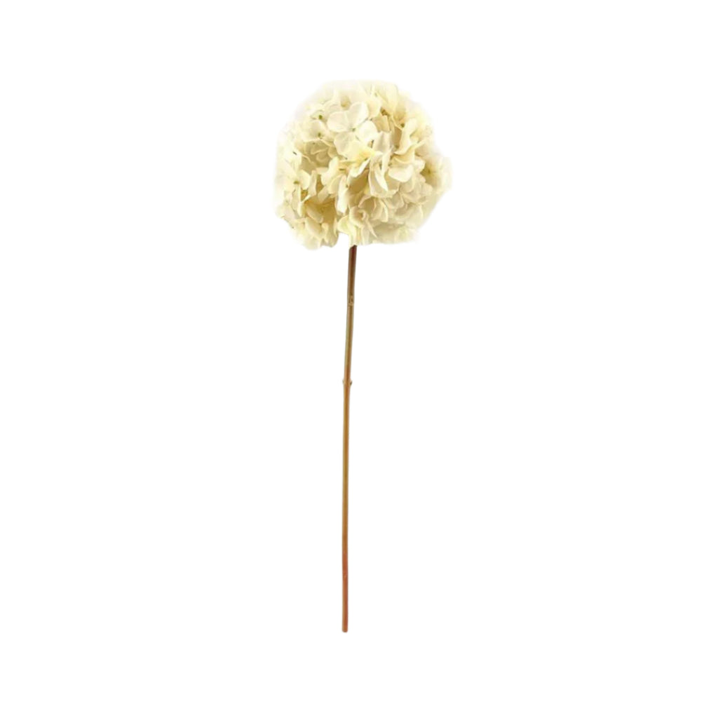 Dried Touch Hydrangea Cream - Single Stem Faux Flower