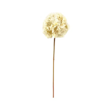 Dried Touch Hydrangea Cream - Single Stem Faux Flower