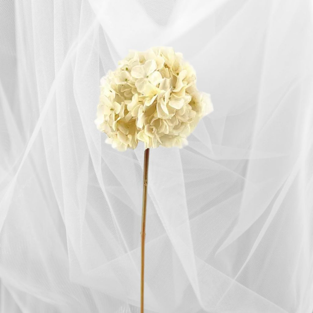 Dried Touch Hydrangea Cream Stem