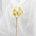 Dried Touch Hydrangea Cream Stem