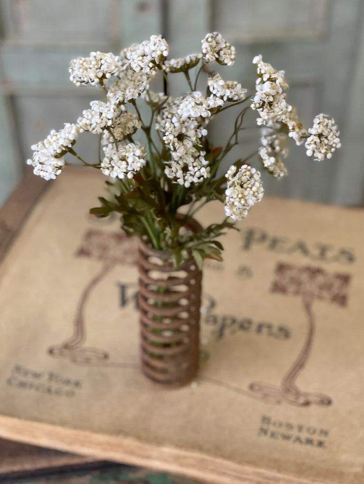 13" Fennel Flower Bundle