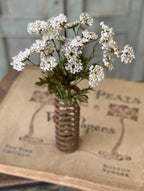 13" Fennel Flower Bundle