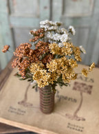 13" Fennel Flower Bundle