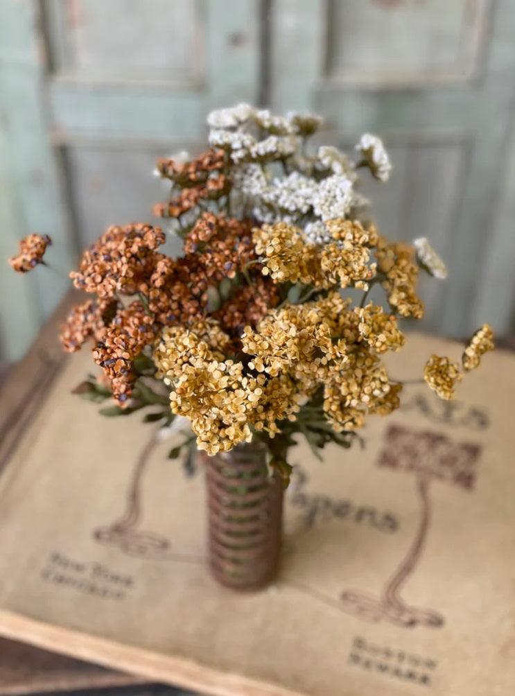 13" Fennel Flower Bundle