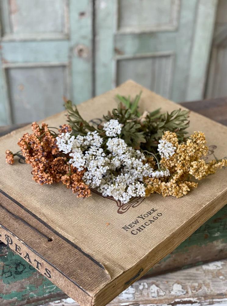13" Fennel Flower Bundle