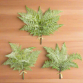 Fern_Stems_Home_Decor