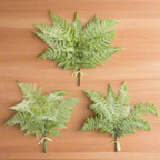Fern_Stems_Home_Decor