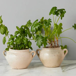 Found_Cream_Confit_Pot_Home_Decor_2