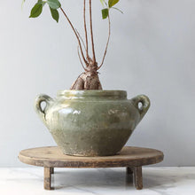Found_Green_Confit_Pot