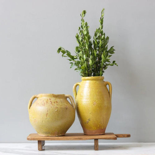 Found Yellow Amphora Pot