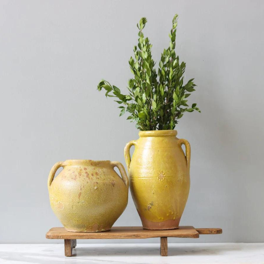 Found Yellow Amphora Pot