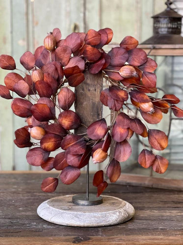 Foxfire Eucalyptus Candle Ring