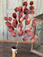 Foxfire Eucalyptus Spray
