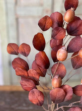 Foxfire Eucalyptus Spray