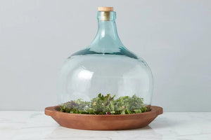 Large Demijohn Cloche