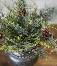 Glittering Greens Cedar Bush