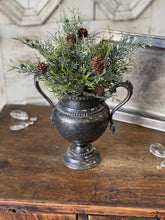 Glittering Greens Cedar Bush