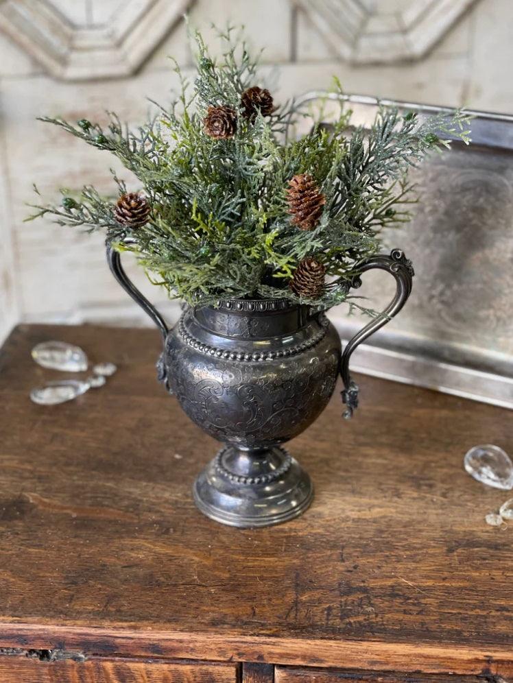 Glittering Greens Cedar Bush