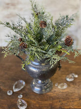 Glittering Greens Cedar Bush