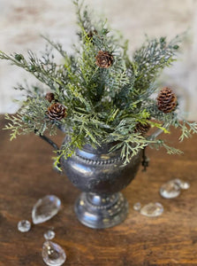 Glittering Greens Cedar Bush