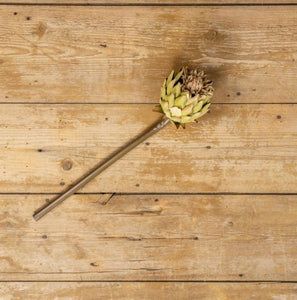 Green Artichoke Spray