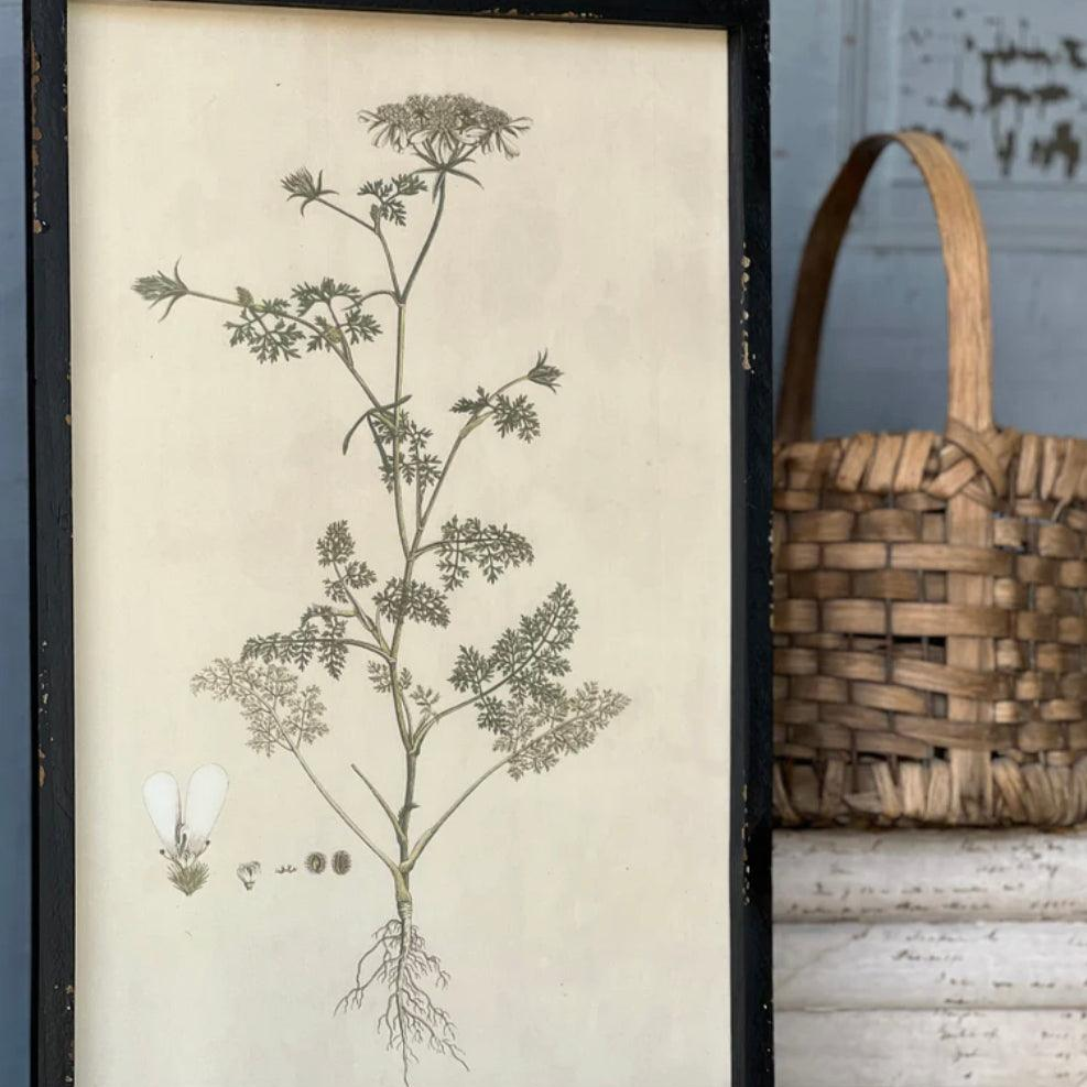 Headley Garden Botanical No. 2