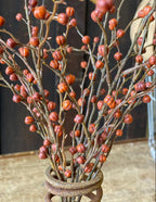 Red Heart Berries Pick