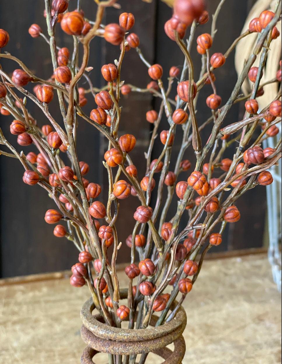 Red Heart Berries Pick