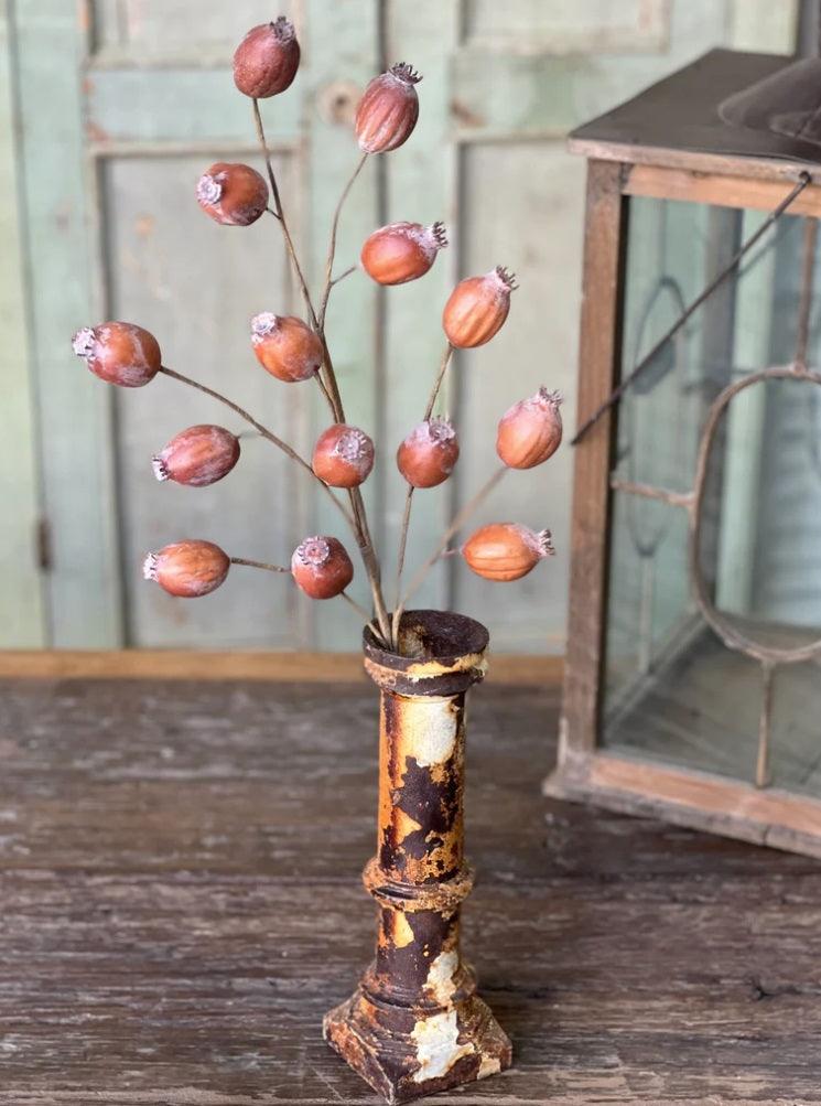 Hickory Pod Spray