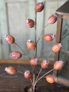 Hickory Pod Spray