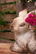 Concrete Rabbit Planter