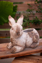 Concrete Rabbit Planter