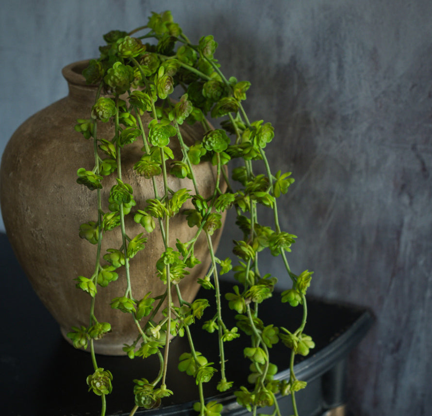 26" Trailing Succulent Vine