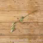 25.75" Green & White Foxtail Spray