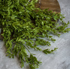 36" Ruscus Leaf Hanging Bush