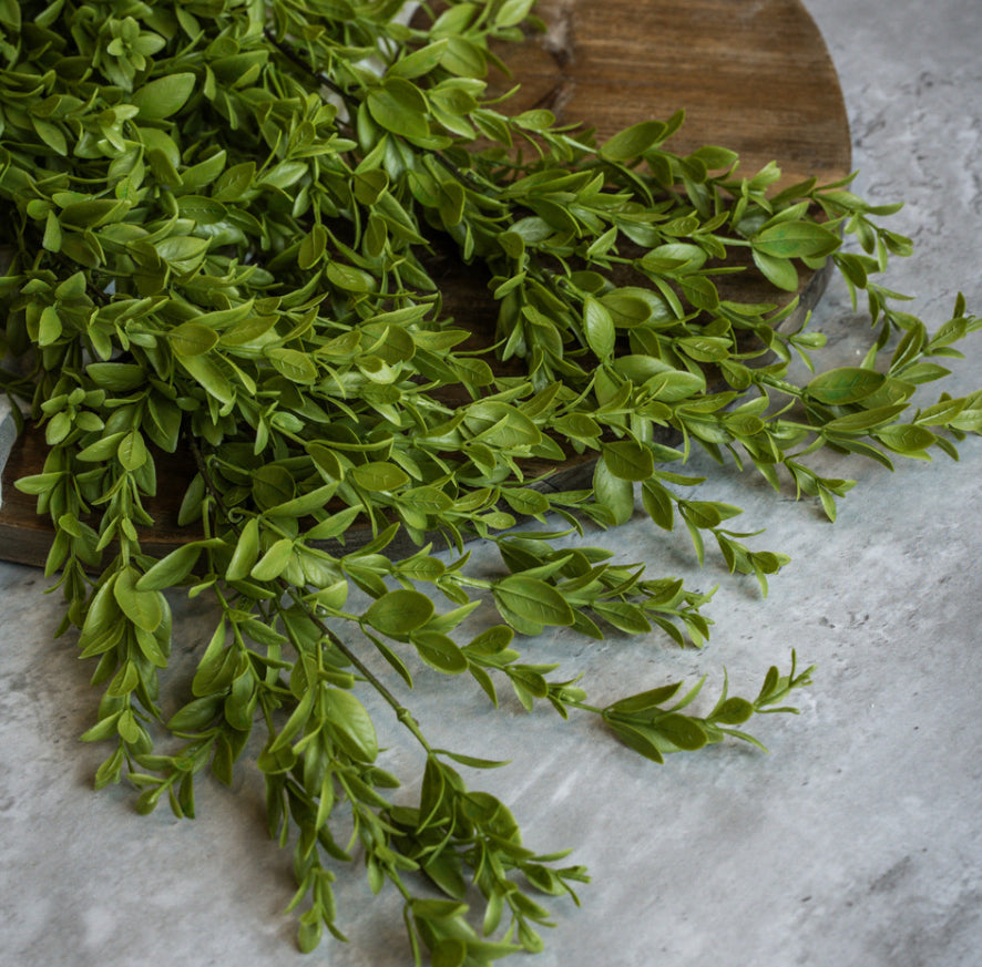 36" Ruscus Leaf Hanging Bush
