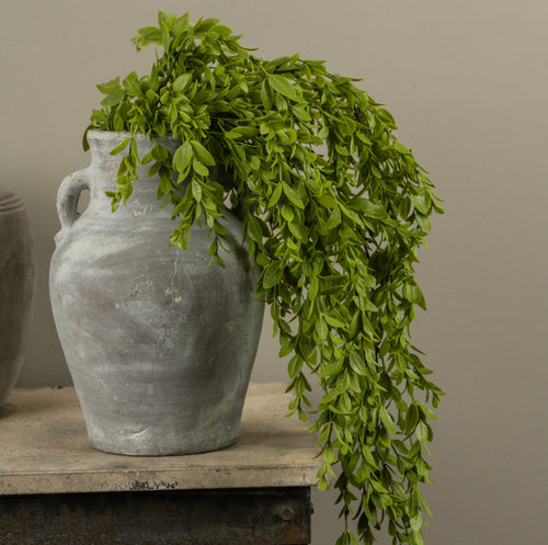 36" Ruscus Leaf Hanging Bush