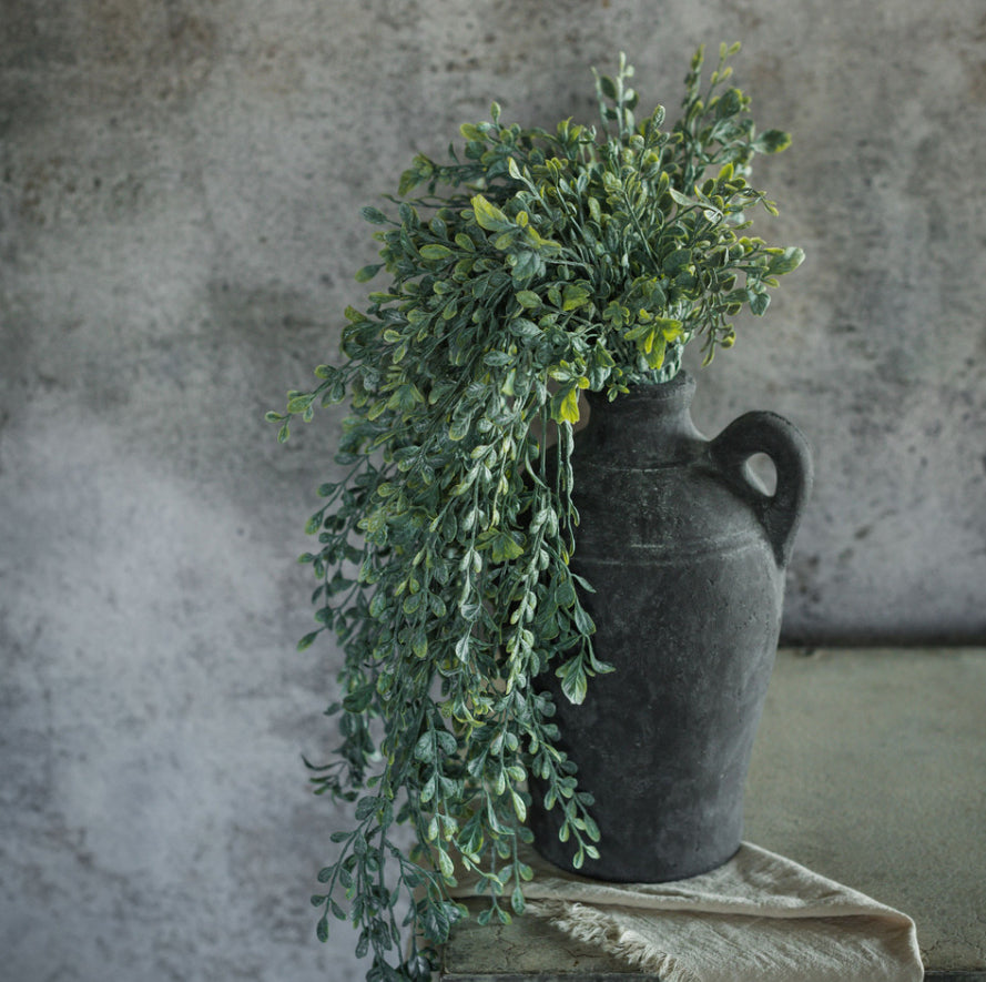 32" English Boxwood Hanging Bush