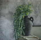 32" English Boxwood Hanging Bush